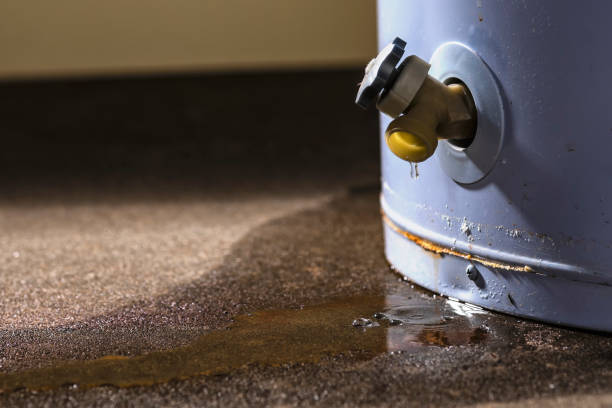Best Water damage mitigation services  in Mcrae Helena, GA