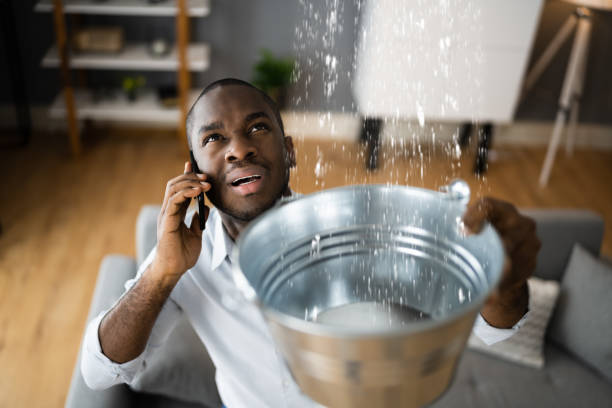Best Water damage cleanup near me  in Mcrae Helena, GA