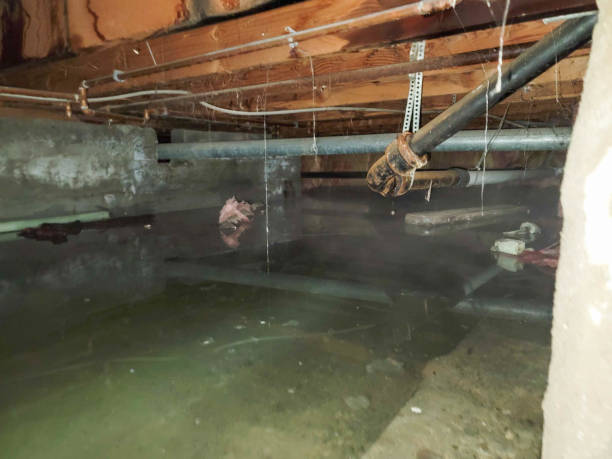 Best Fire Damage Restoration  in Mcrae Helena, GA