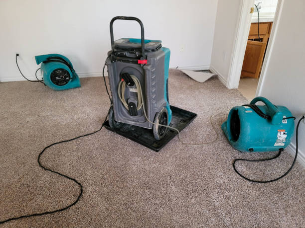 Best Sewage cleanup and water damage restoration  in Mcrae Helena, GA