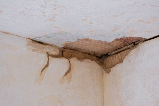 Best Water damage cleanup near me  in Mcrae Helena, GA