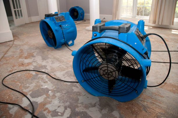 Best Carpet water damage restoration  in Mcrae Helena, GA