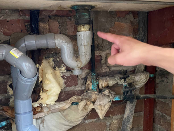 Best Water damage restoration near me  in Mcrae Helena, GA