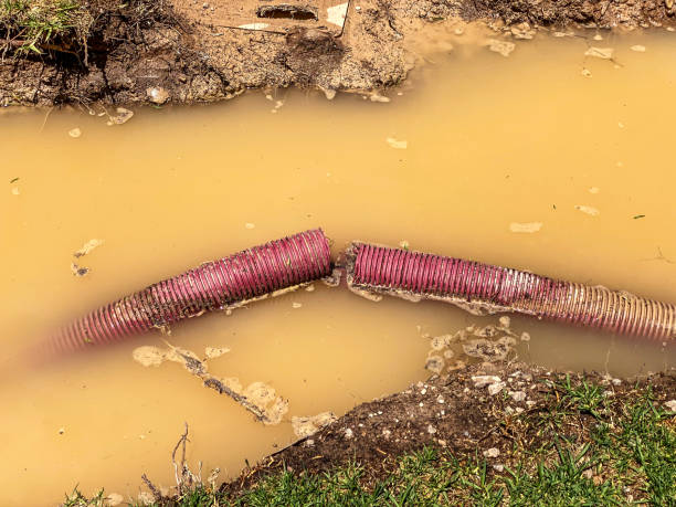  Mcrae Helena, GA Water damage restoration Pros