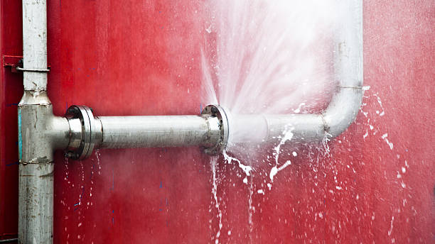 Best Water damage restoration mold remediation  in Mcrae Helena, GA